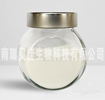 �����������\-��ؐ������