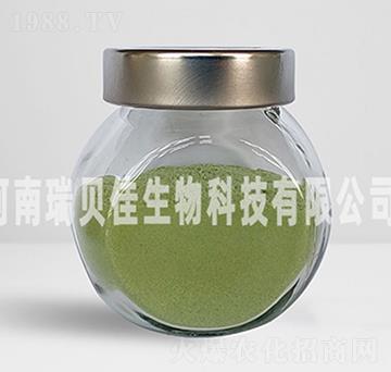 15.7%�����������}-��ؐ������