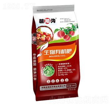 �O���Ҙ䌣�������ЙC(j��)��-��ꖜ�-�G���ʘI(y��)