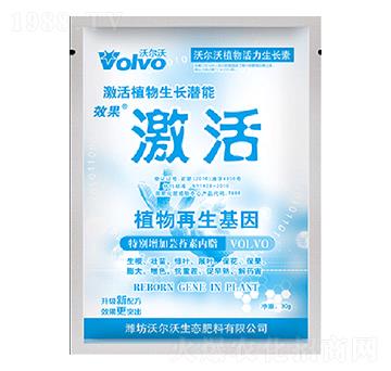 30gֲ��������L��-����-������