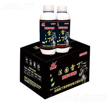 ø���~�����-�׶�-ʥ��˹