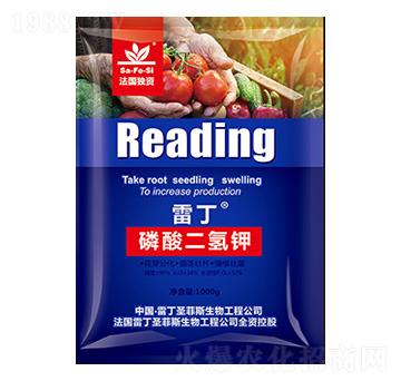 �׶���������-ʥ��˹