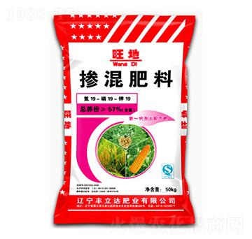 �������19-19-19-����-�S���_