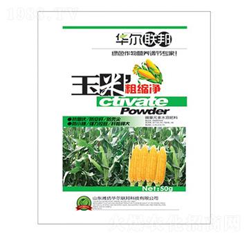 ���״ֿs��-�A�����Z