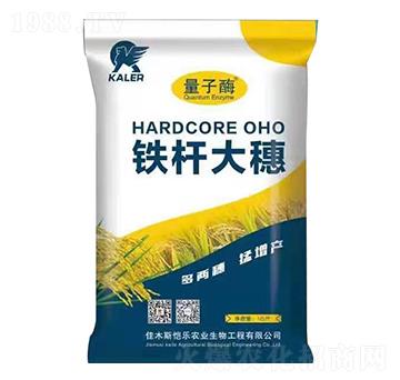 �F�U����-���r(n��ng)�I(y��)