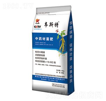 ��ˎ�ľ���-�f˹��-���r(n��ng)�I(y��)