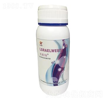 ���׽�������������AҺ-�f˹��-���r(n��ng)�I(y��)