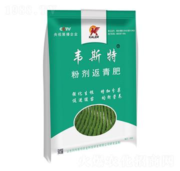 �ۄ������-�f˹��-���r(n��ng)�I(y��)