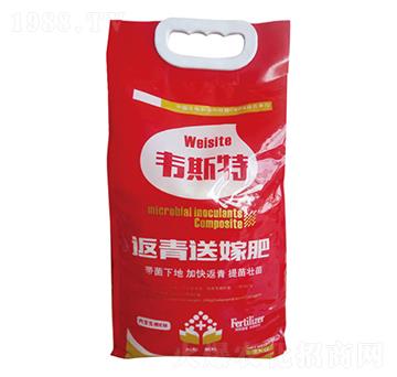 �w���ͼ޷�-�f˹��-���r(n��ng)�I(y��)