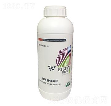 ����Һ�w���F(tu��n)-�f˹��-��(l��)�r(n��ng)�I(y��)