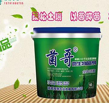 ����΢�������-����