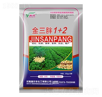 ������1+2-�ݠ��S����