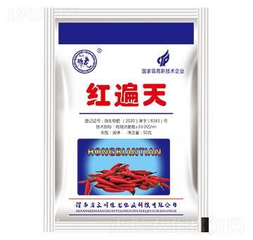 �t����-�|�M��-����ԥ��