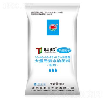 �����;�ø���Ӵ���Ԫ��