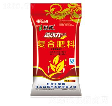 ΢���������ͺϷ���28