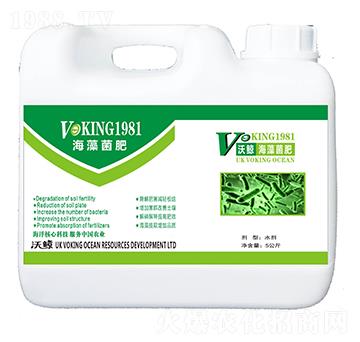 �������-���L