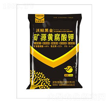 40%�VԴ�S�����-�ڽ�2̖-���L