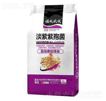 �������߾�-�Z�ɑ�(zh��n)��-