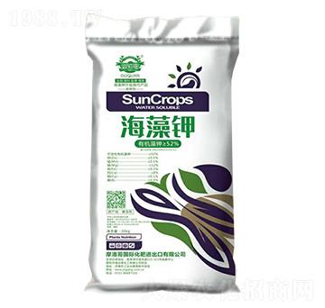 �ЙC�����-Ħ���-��Ȫ����