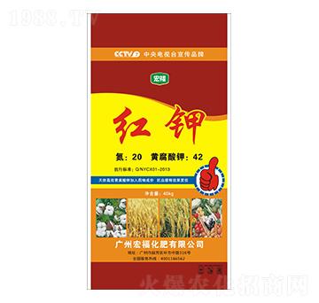 �t�-�������