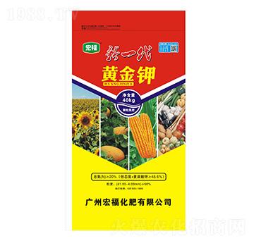 ��һ���S���-�������