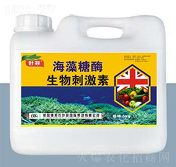 ������ø����̼���-�°��~��