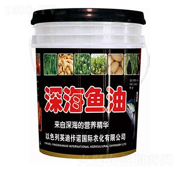 ��~(y��)��-�����ʘI(y��)