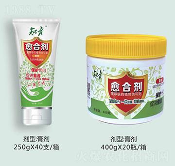 ֲ�����τ�-֪��-����