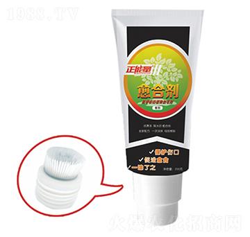 ֲ�����τ�-������