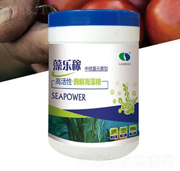 ��΢��Ԫ���͸߻��ԡ�ø�⺣�徫-�嘷��-�{ؐ��