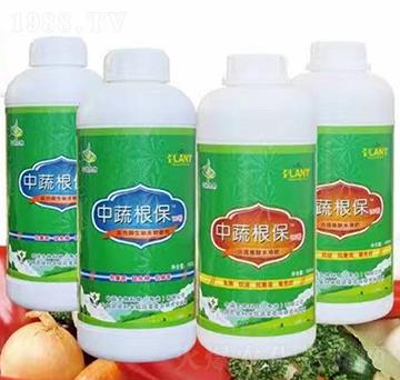 ���߸���101+���߸���201-��������