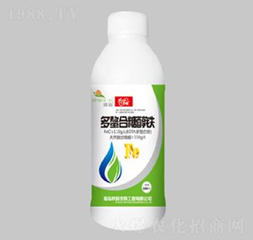 �������Ǵ��F-��������