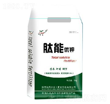 ���܃�(y��u)�-���S�r(n��ng)��