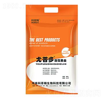 ����ڽ�-���ն�-�Ʒ�ķ