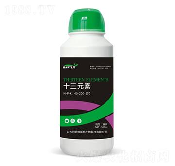 ʮ��Ԫ��-���S˹�طʘI(y��)