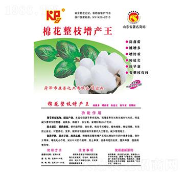 �޻���֦���a(ch��n)��-���շʘI(y��)