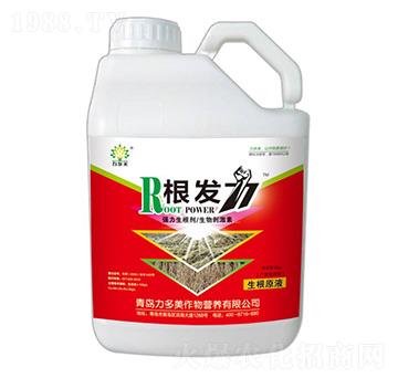 ����������-���l(f��)��-������-�r(n��ng)ʥ��