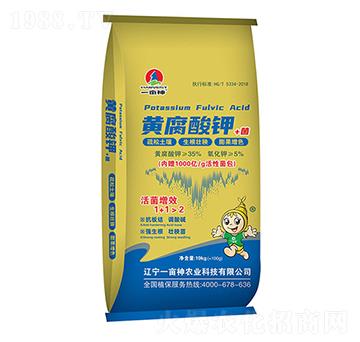 �S����⛾�-һ����