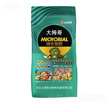 ΢�����-��Ĵ��