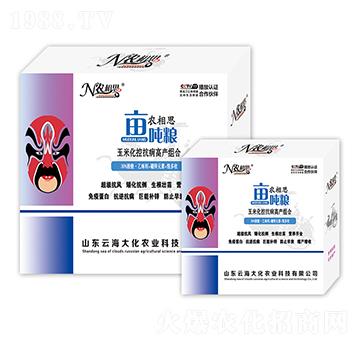 ���׿����I�B(y��ng)�M��-�r(n��ng)��˼�������Z-�ƺ���