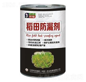 �����©��-�»�