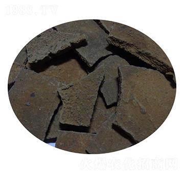 ������֥���-�T������