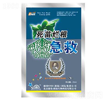 ���砀������-�»�