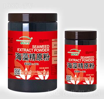 ���徫ԭ��-�����r��