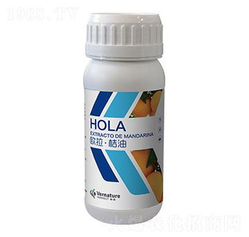 �W��������-����-���溣������