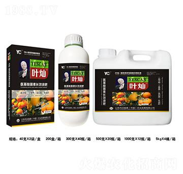 �Ƚ��֌��ð���������LЧҺ��-�~�N-�»�