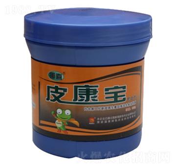 Ƥ�������τ�-���Z�S