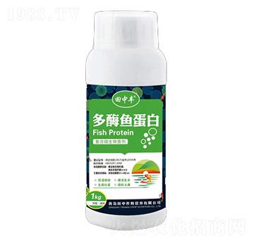 ��ø�~���׏�(f��)��΢�������-��������