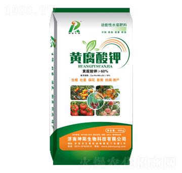 �S�����-�������