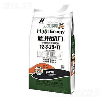 �������12-3-25+TE-�������